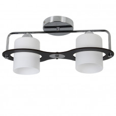Cits Griestu gaismeklis IRINA 148500, 2x60W, E27, hroms/melns - gab