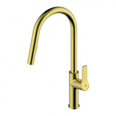 Gustavsberg virtuves izlietnes maisītājs ar izvelkamu dušu Epic, brushed brass
