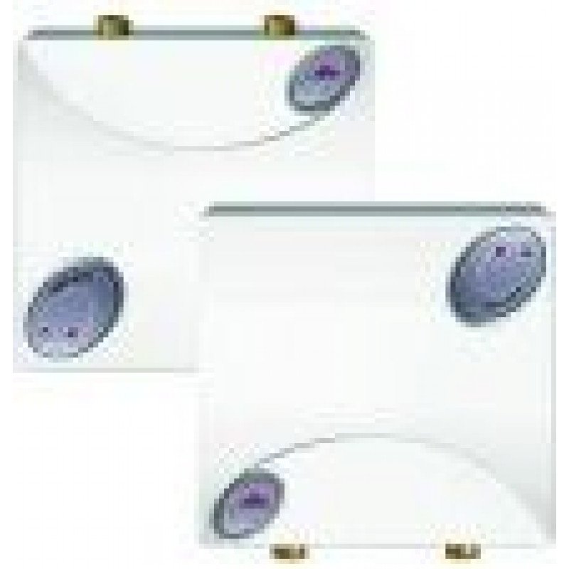 EPO.G-5 kW Amicus 230V/400V 2N virs izlietnes