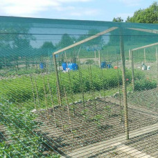 Pret putnu siets ORTOFLEX 2x5m / gab