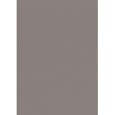 Forestia One-Step sienu apdares panelis 620x2800 mm, Warm Grey