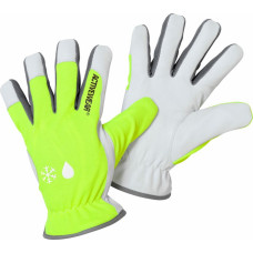 Activewear Cimdi ziemas Activewear 2285 izmērs 12 - pāri