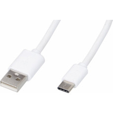 All Ride Lādētājs micro USB 1,2m 2A